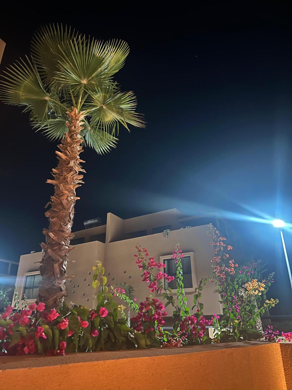 WhatsApp Image 2025-10-02 at 11.33.24