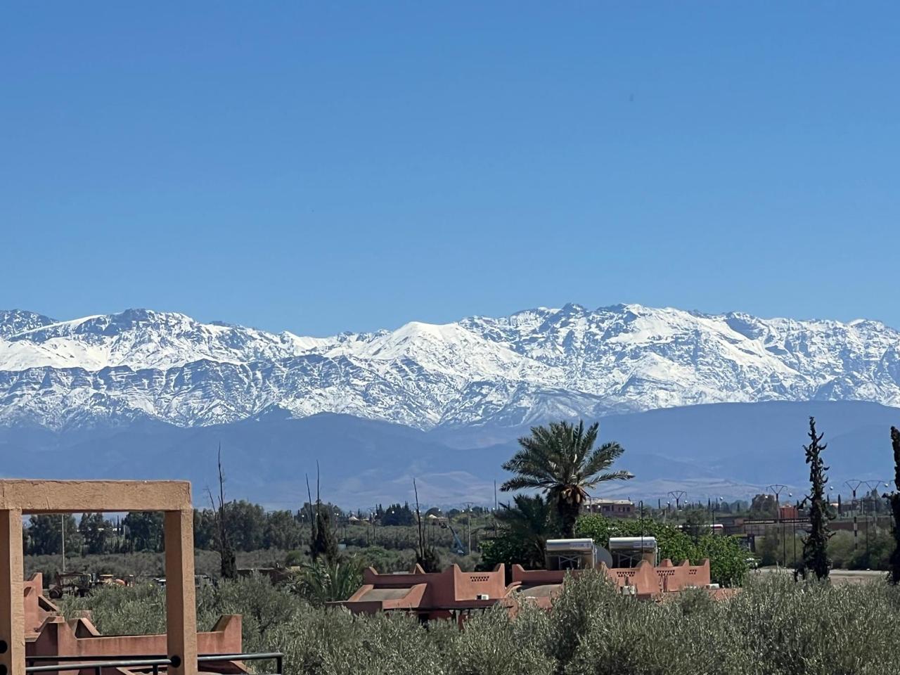 WhatsApp Image 2025-10-02 at 11.33.25