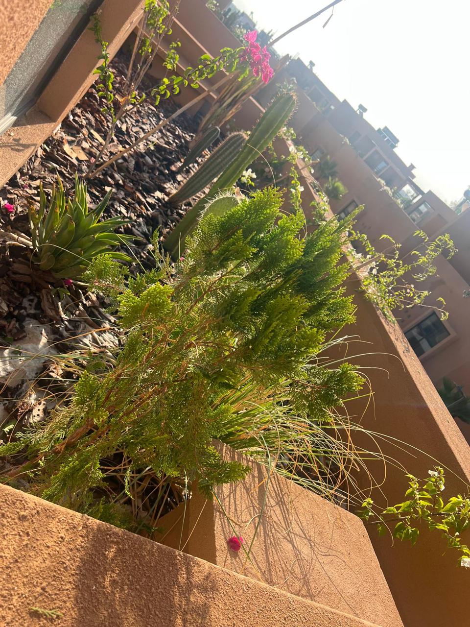 WhatsApp Image 2025-10-02 at 11.33.33